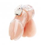 Прозрачная клетка целомудрия Acrylic See-thru Chastity Cage